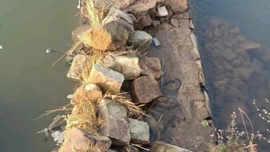 किशनगंज: बरुनी लिंक सारण की टूटी दीवार से व्यर्थ बह रहा नहर का पानी