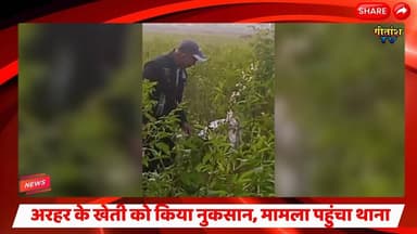 पाटीदारों ने खेत में लगे अरहर के खेती को किया नुकसान, मामला पहुंचा थाना #garhwanews #latestnews