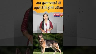 अब कुत्ता पालने से पहले देनी होगी परीक्षा #dog #doglover #shorts #viral #viralshorts #trending