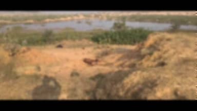 कसडोल: भदरा के गौठान में देखभाल न होने से गौवंश की मृत्यु पर जांच की मांग को लेकर छग गौ सेवा आयोग ने कलेक्टर को सौंपा ज्ञापन