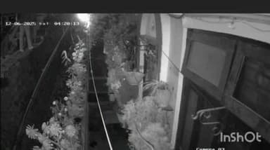 नैनीताल: CCTC कैमरे में चोरी करते हुए पकड़ा गया युवक, एक कैमरा चुराते समय दूसरे कैमरे में साफ दिखा, घर में मिले 3 कैमरे