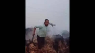 बेलछी: भौली खंधा में आग से करीब 7 बीघा धान की फसल जलकर राख