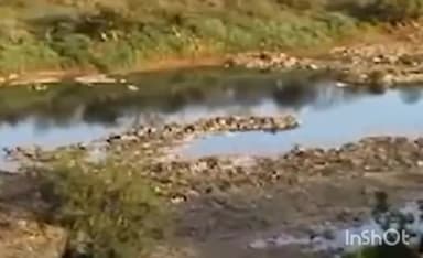 घाटीगांव: आगरा-मुंबई हाईवे पर तेज रफ्तार वाहन ने चीते को कुचला, कूनो से निकले एक चीते की मौत, दूसरे की तलाश जारी