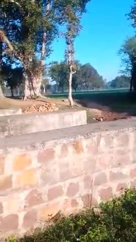 ग्राम धमकना तहसील तालबेहट जिला ललितपुर में एक बर्श पहले काम किया गया था पर अभि तक पुरा नंही हुआ है
ग्राम धमकना @कृष्ण