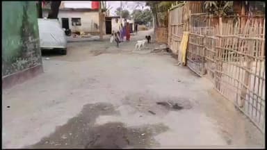 बैसि: गुढ़ियाल लहटी टोला जाने वाली पीसीसी सड़क जर्जर, राहगीरों की बढ़ी मुश्किलें, गड्ढेनुमा सड़क पर रोजाना जोखिम भरी आवाजाही