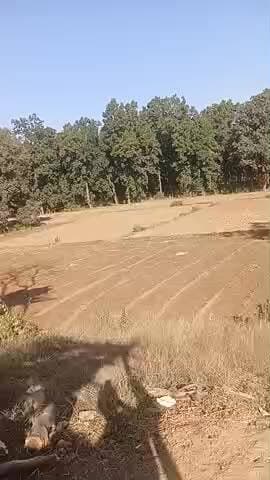 khet me plantation work