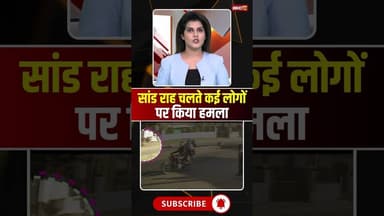 सांड राह चलते कई लोगों पर किया हमला #mpnews #chhindwara #saand #bull #viralvideo