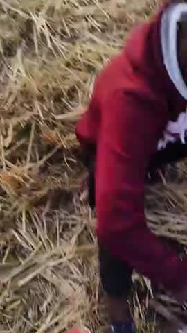 #Latehar लातेहार ज़िला में इतनी ज्यादा ठंडी लग रही की धूप रहते हुए भी आग को गर्मी लेना पड़ रहा है #vishwanathoraon #ltr