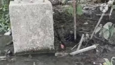 বোকাখাত: কাজিৰঙাত ব্যক্তিগত অতিথিশালাৰ বাবে পথাৰ পদূষিত হোঁৱাৰ অভিযোগ স্থানীয় একাংশ লোকৰ