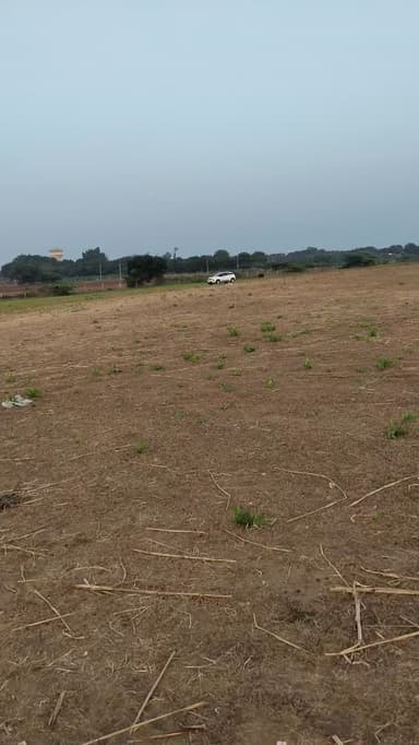 મોર ના ઈંડાને ચીતરવા ના પડે