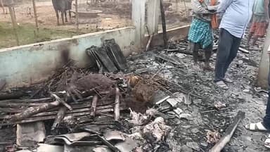 अज्ञात लोगों के द्वारा मुर्गी फार्म में आ*ग लगा कर ज*ला दिया फार्म सहित मुर्गी..
#viralvideos #BreakingNews #time #vira...