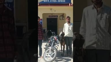 फुलेरा थाना पुलिस ने बकरी चोर को पकड़ा #indiancapital #hindinews