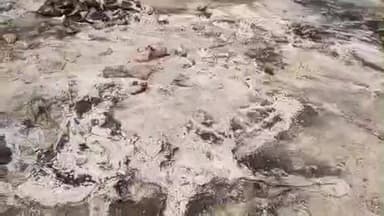 ଭୋଗରାଇ: ଉଦୟପୁର ବେଳାଭୂମିରେ ଲକ୍ଷାଧିକ ଟଙ୍କାର ଚେୟାର ଟେବୁଲ ପୋଡିଦେଲେ ଦୁର୍ବୁତ୍ତ ,ଥାନାରେ ଅଭିଯୋଗ