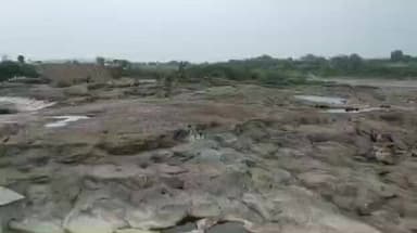 अमळनेर: पांझरा नदीपात्रात मध्यरात्री थरार: वाळूमाफियांनी मंडळाधिकाऱ्याच्या कपाळाला लावले गावठी पिस्तूल; मारवड पोलीसात गुन्हा दाख