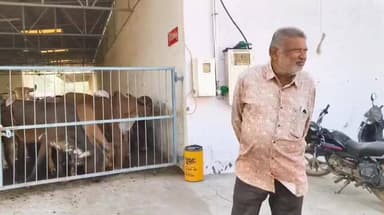 થાનગઢ: થાનગઢ પાંજરાપોળ ખાતે જન્મ દિન નિમિતે એક લાખથી વધુનું અનુદાન