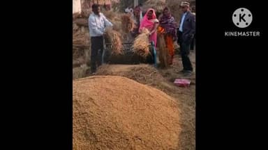 बड़हरिया: सुंदरी टोला में राधिका महिला खाद्य सुरक्षा समूह के धान उत्पादन का निरीक्षण किया गया