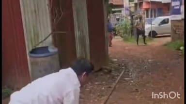 കുന്നത്തൂർ: കാരാളിമുക്കിൽ സ്ഥാനാർഥി തല്ലിക്കൊന്ന തെരുവ് നായക്ക് പേവിഷബാധ സ്ഥിരീകരിച്ചു