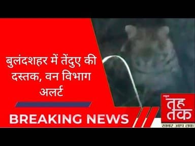 #बुलंदशहर #पहासू में तेंदुए की दस्तक, वन विभाग अलर्ट