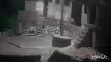 टोडारायसिंह जैन मंदिर नसिया में पैंथर के मूवमेंट का सीसीटीवी फुटेज वायरल, लोगों में दहशत