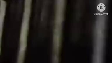 দেৰগাঁও: দেৰগাঁৱত বিভিন্ন অঞ্চলত বাঘৰ আতংক,বন বিভাগৰ লোক উপস্থিত হৈ পিঞ্জৰা পাতিছে বাঘ ধৰিবলৈ