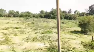 தாளவாடி: பணக்கள்ளியில் உள்ள மலையாளத்தை புது மயானமாக அறிவிக்கக் கோரி பொதுமக்கள் சாலை மறியல்