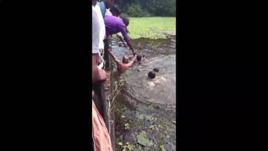 ഉടുമ്പൻചോല: കരുണാപുരത്ത് വോട്ട് ചെയ്ത് മടങ്ങിയ യുവാവ് ചെക്ക് ഡാമിൽ മുങ്ങി മരിച്ചു