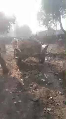 जिला रामपुर पोस्ट सैदनगर गाॅंव सरकड़ी
मैं खनन करते हैं