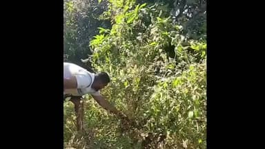 ધરમપુર: વિધાનસભામાં આવતા દુલસાડના રઘુવીર ફળિયામાંથી મહાકાય અજગરનું રેસક્યુ કરાયું