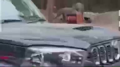 ऋषिकेश: देहरादून रोड पर सात मोड़ से पहले महाकाली मंदिर के पास दो हाथी दिखाई दिए, तस्वीरें वायरल, वन महकमा हुआ अलर्ट