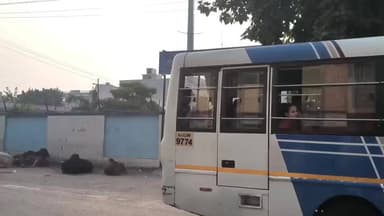 લાલપુર: લાલપુર તાલુકાના મોટા ખડબા ગામમાં કરુણ બનાવ સામે આવ્યો