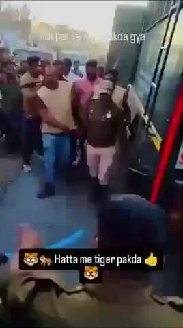 ##हटा शहर में एक बड़ा चीता पकड़ा गया 🐅🐅🐅 और उसके साथ ही एक ही था और 3 आए थे जिसमें से एक पकड़ गया 2 और है