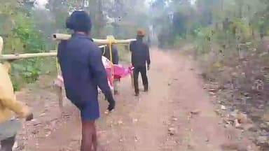डुमरिया: पितामाहली गांव में सड़क न होने से घायल महिला को खटिया पर ले जाना पड़ा
