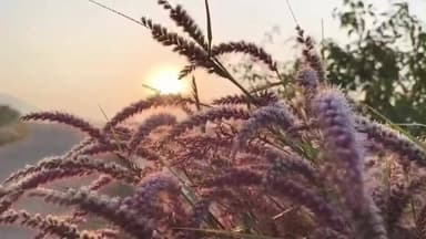 ଯଶିପୁର: ପ୍ରବଳ ଜାଡରେ ଥରୁଛି ଶିମିଳିପାଳ, ଶିମିଳିପାଳରେ ୪° ଡିଗ୍ରୀକୁ ଖସିଲା ପାରଦ