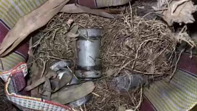 ডোমকল: ডোমকালে উদ্ধার ২৫টি সকেট বোমা, চাঞ্চল্য ছড়াল এলাকায়