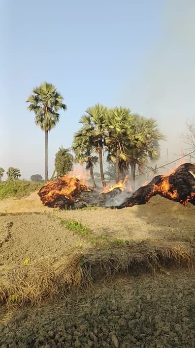 मोहनपुर प्रखंड के लाडू पंचायत के मंझियावां गांव में धान के पुआल जलकर हुआ राख..!