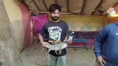 रूड़की: सोलानी पार्क के पास गंगनहर से निकलकर सड़क पर आया मगरमच्छ का एक बच्चा, सड़क हादसे में बच्चे की जान जा सकती थी