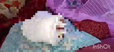 বালি-জগাছা: লিলুয়া আনন্দনগরে একতলা বাড়ির উপর থেকে কংক্রিটের স্লাব ভেঙে পড়ে বাঁধ গেল এক ব্যক্তির পায়ের আঙুল।