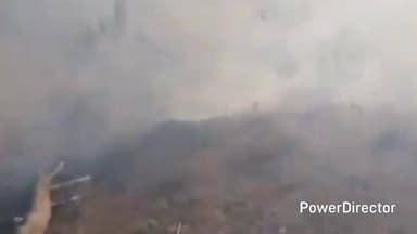 ओखलकांडा: ग्राम नाई के जंगल में लगी आग, वन संपदा को हो रहा है नुकसान