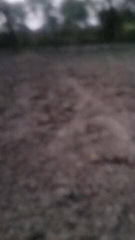 Ranipur me lededs ka aatank