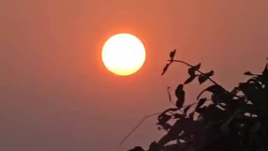 अक्राणी: सातपुड्याच्या क्षितिजावर मावळत्या सूर्याचा मनमोहक दृश्य पर्यटकान टिपला....