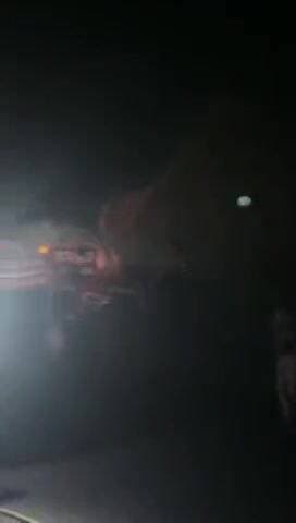 खंडाळा: खंडाळा परिसरात पिकप पार्टी, खंडाळा तालुका रेस्क्यू टीम धावली मदतीला