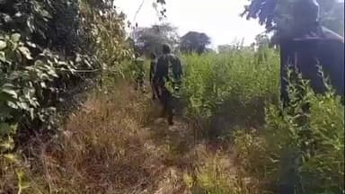 लावालौंग: लावालौंग थाना क्षेत्र में सनसनीखेज मामला, 6 माह का दुधमुंहा बच्चा चोरी, पुलिस के लिए चुनौती