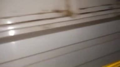 अल्बर्ट एक्का (जारी): मेराल पंचायत के पुलुंग के रास्ते गुमला का धान छत्तीसगढ़ पहुंच रहा था, ग्रामीणों ने पकड़ा फिर छोड़ा