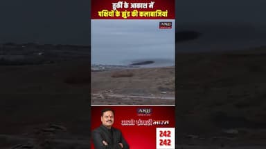 तुर्की के आकाश में पक्षियों के झुंड की कलाबाजियां #viralvideo #newsupdate #newstoday #viralshorts