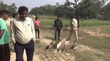 ଉଦଳା: କପ୍ତିପଦା ବନାଞ୍ଚଳରେ ଦୁଇ ଦିନରେ ବାଘ ମାରିଲା ଦୁଇ ଗୋରୁ; ଲୋକେ ଭୟବିତ