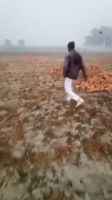 वीडियो को वायरल कर दो कोई मदद नहीं कर रहा जमीन पर कब्जा हो रहा है 🙏