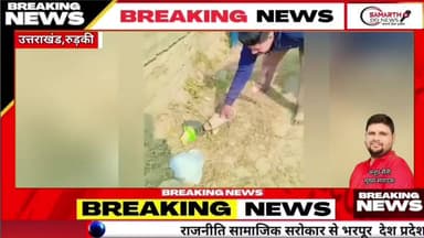 रुड़की पुरानी बंद गंगनहर में पिछले काफी समय से नजर आ रहे मगरमच्छ के एक बच्चे को आज सुबह मोनू जलवीर ने पकड़ लिया! उसे वन