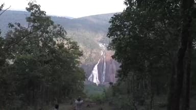 ବାରିପଦା ମ୍ୟୁନିସିପାଲଟି: ଶିମିଳିପାଳର ଅଭୟାରଣ୍ୟର ବିଭିନ୍ନ ସ୍ଥାନରେ ରେକର୍ଡ ହୋଇଥିବା ତାପମାତ୍ରା ନେଇ ସୂଚନା ଦେଲେ RCCF