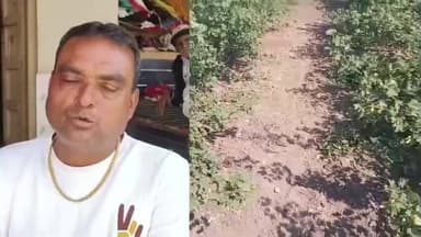 લખતર: લખતર તાલુકા ના ઘણાદ ગામોના ખેડૂતોએ ઘુડખર મુદ્દે આંદોલનની ચીમકી આપી..