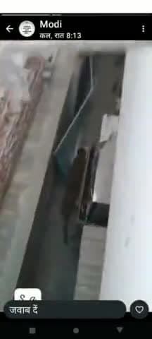 हटा में पाया गया तेंदुआ पकड़ा गया वीडियो जल्द आएगी #वायरल#ट्रेडिंग